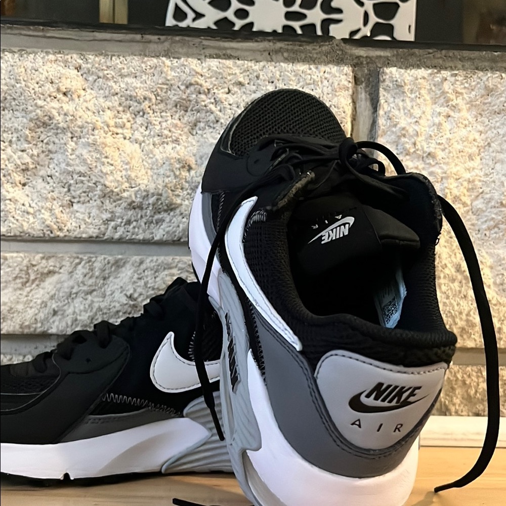 Nike Air Max athletic shoes